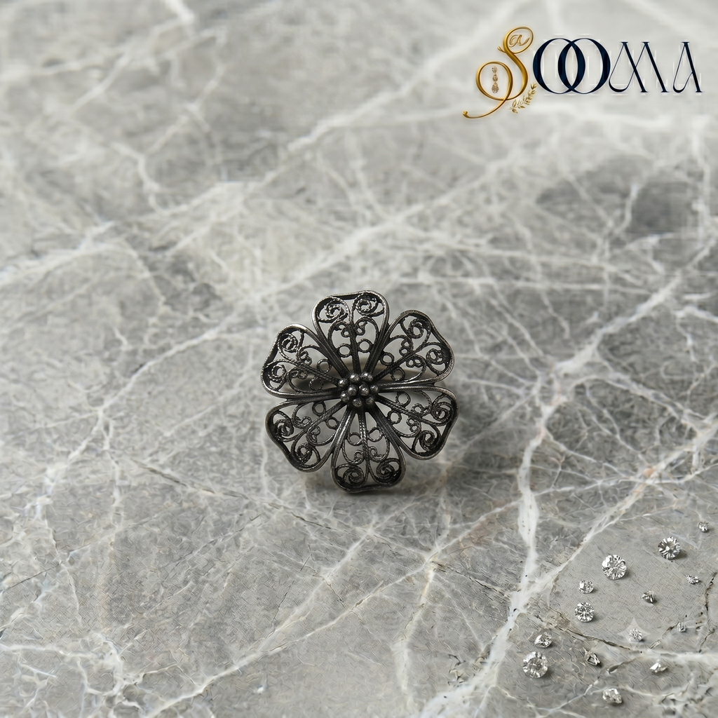Top down view of a double band silver v-shaped layered toe ring set on an Indian foot with minimal shadow play